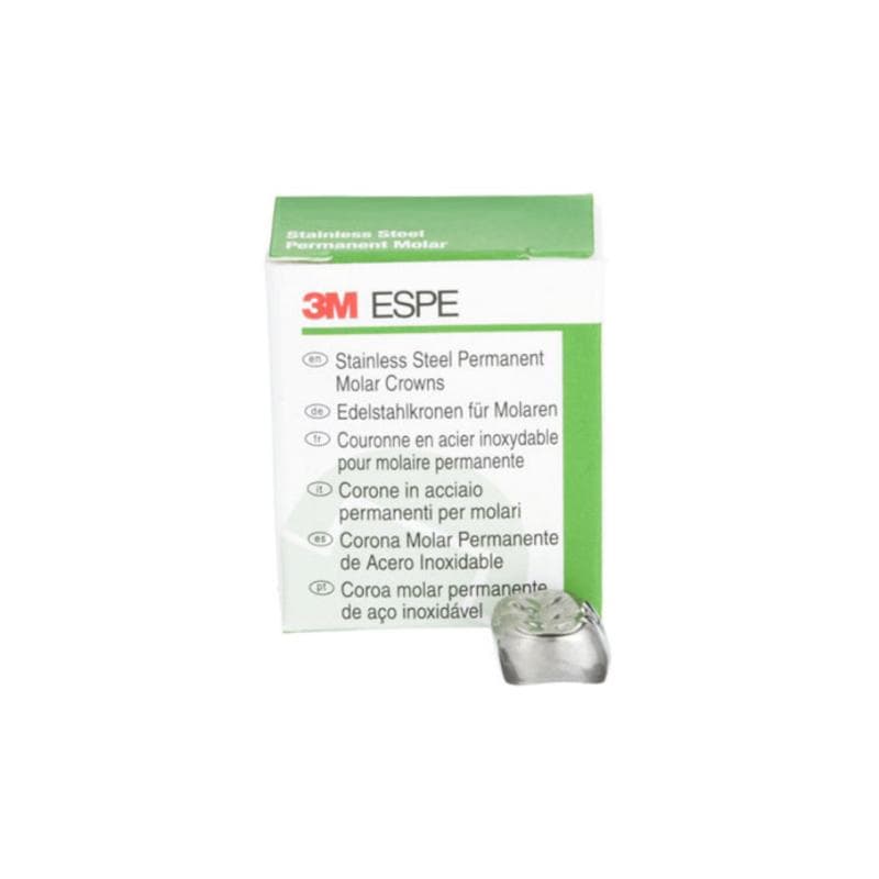 3M™ Stainless Steel Permanent Molar Crowns 6-UR-3